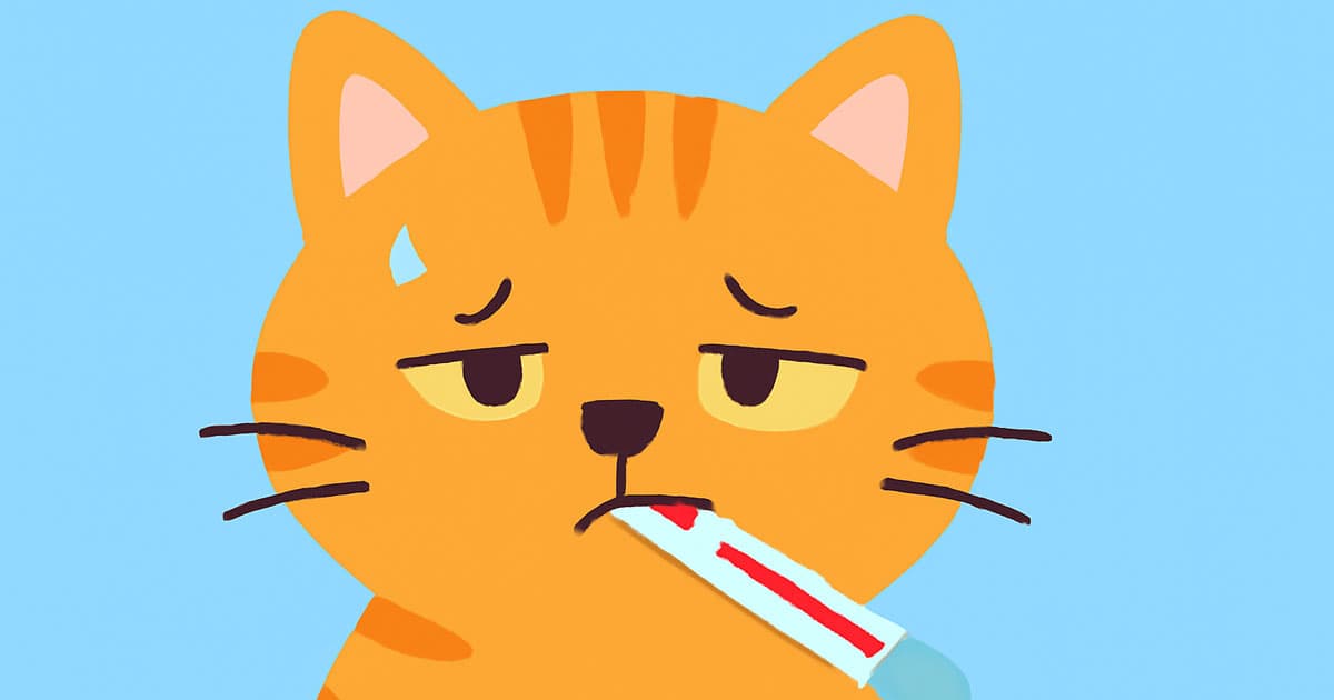 mistakes of Website Design for Veterinarians