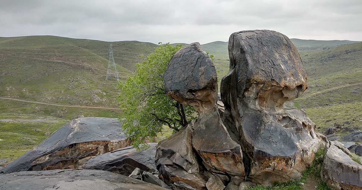 Creativity of nature