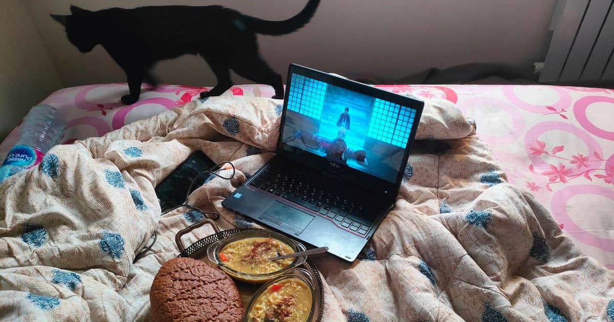 website development cost in Australia - a black cat and soup